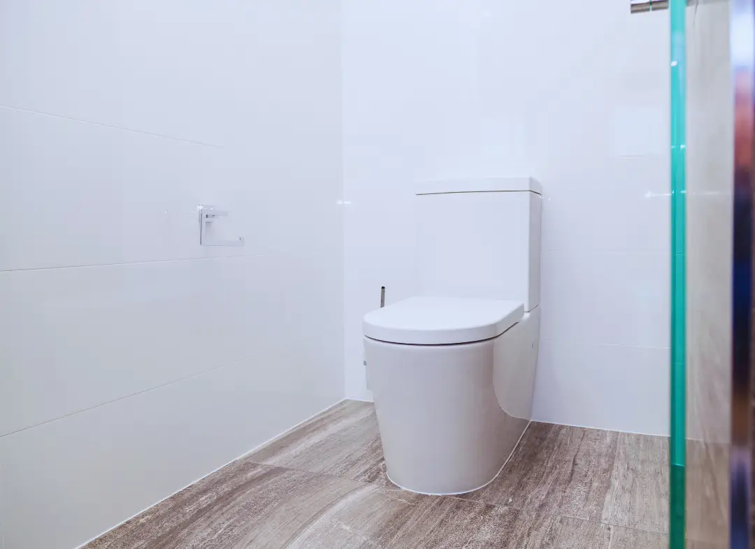 Remplacement de wc Villemur-sur-Tarn